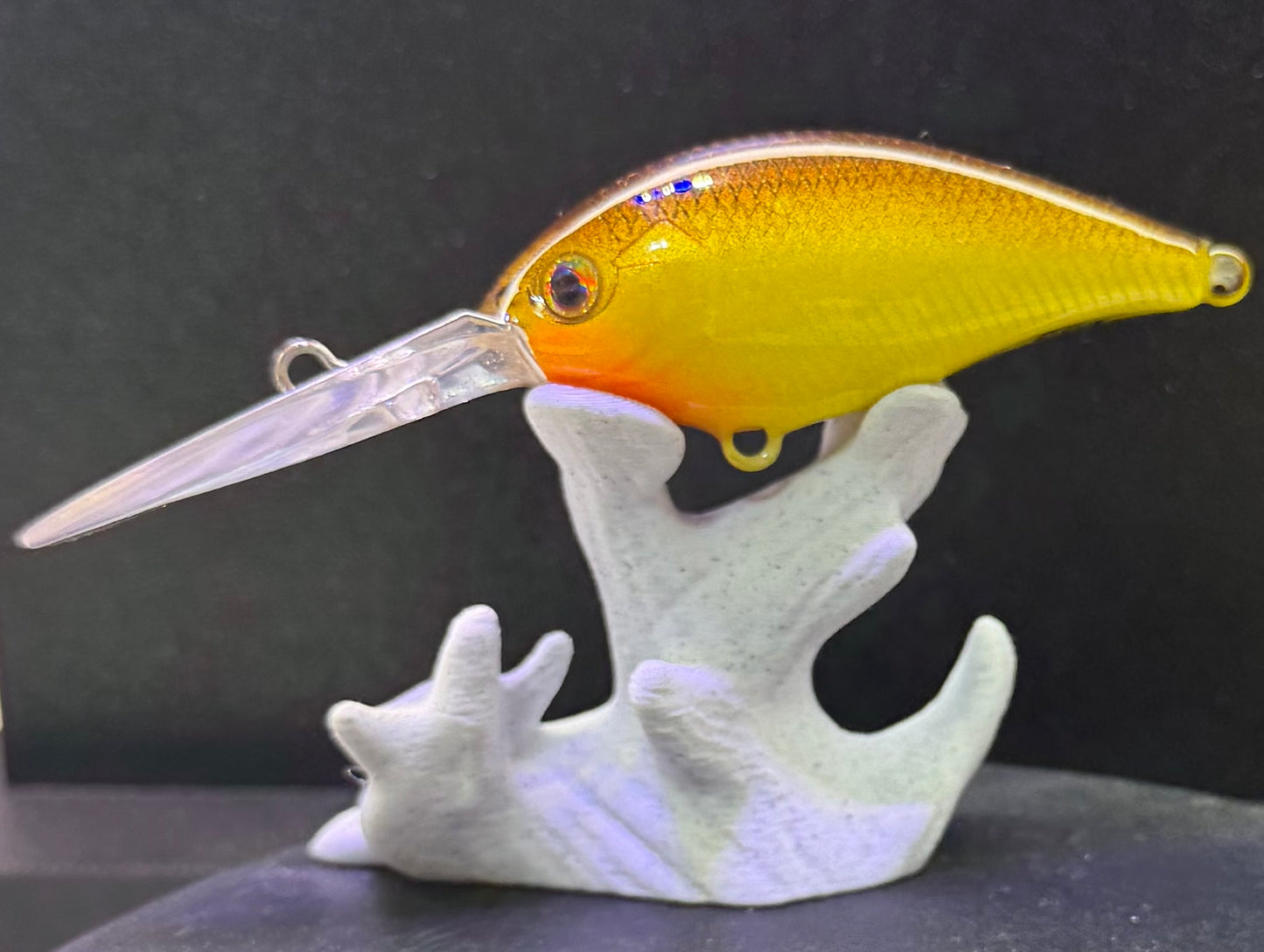 Mid-dive Custom