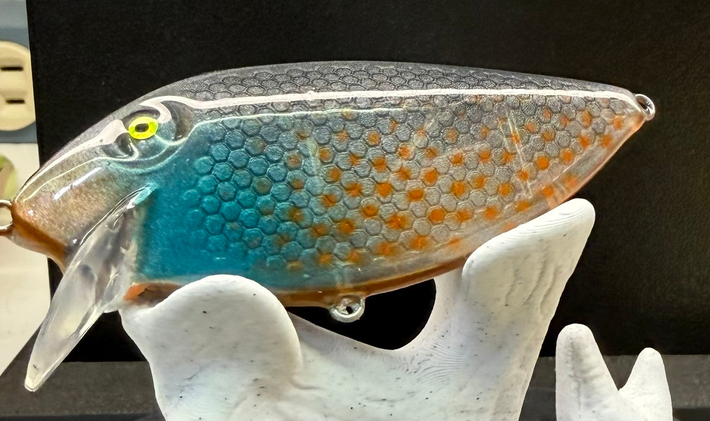 Translucent blue gill thin fin