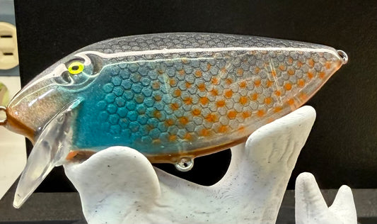 Translucent blue gill thin fin
